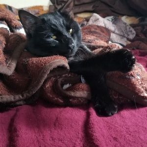 Meet your Posher, Daniel